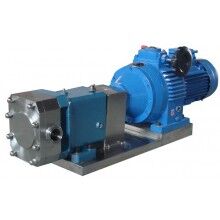 不銹鋼凸輪轉(zhuǎn)子泵